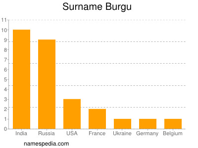 Familiennamen Burgu