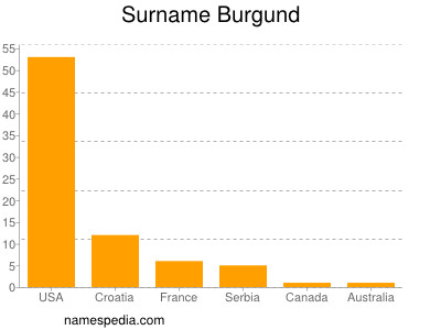 Surname Burgund