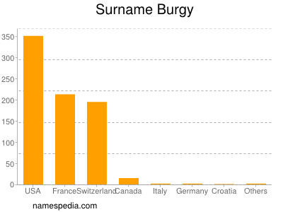 Familiennamen Burgy