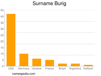 Familiennamen Burig