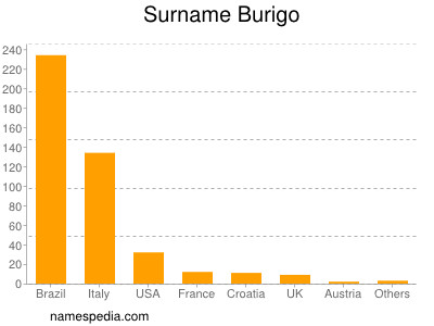 Surname Burigo