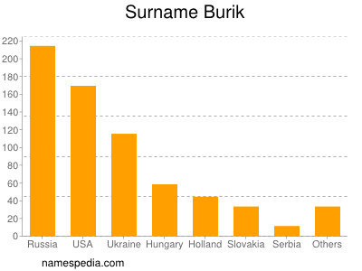 Familiennamen Burik