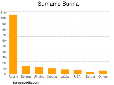 Familiennamen Burina