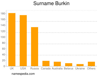 Familiennamen Burkin