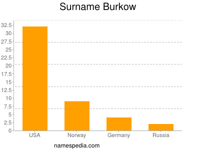 Surname Burkow