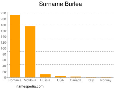 Familiennamen Burlea