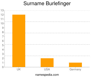 Surname Burlefinger