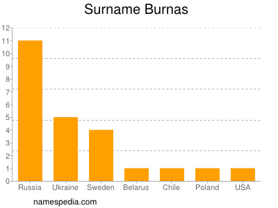 Familiennamen Burnas