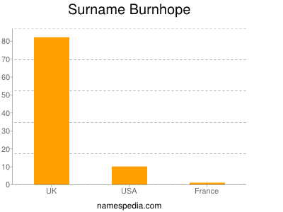 Surname Burnhope