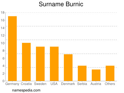 Familiennamen Burnic