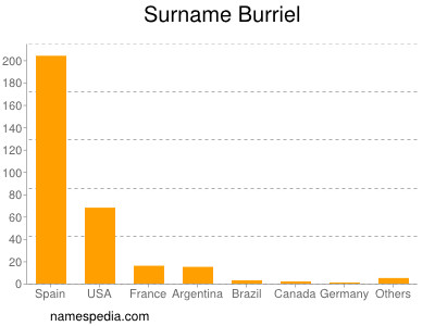 Surname Burriel