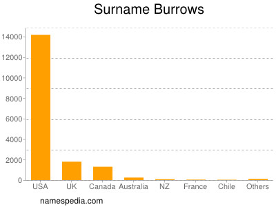 Familiennamen Burrows