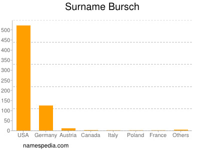 Familiennamen Bursch