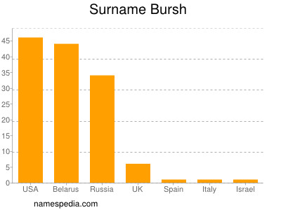 Familiennamen Bursh