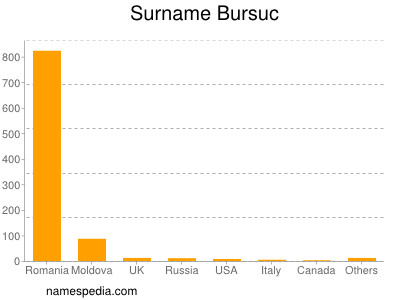 Familiennamen Bursuc