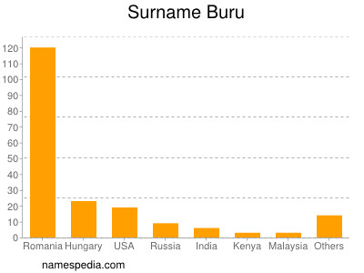 Familiennamen Buru