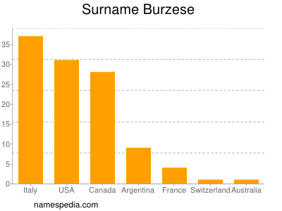 Familiennamen Burzese