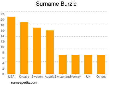 Surname Burzic