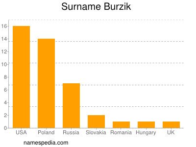 Familiennamen Burzik