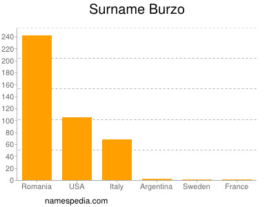 Familiennamen Burzo