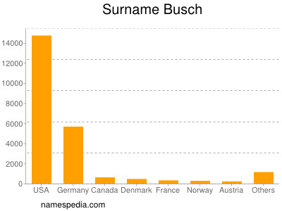 Familiennamen Busch