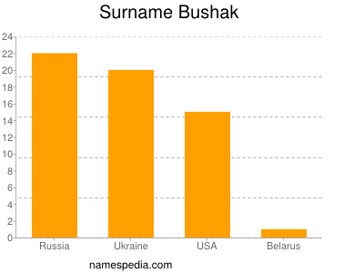 Familiennamen Bushak