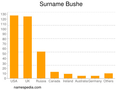 Familiennamen Bushe