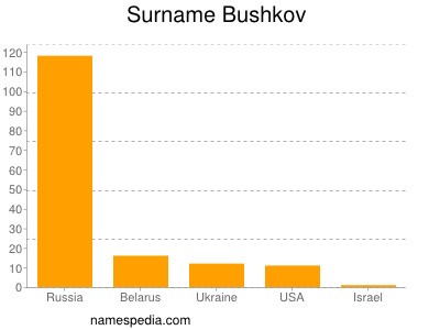 Familiennamen Bushkov