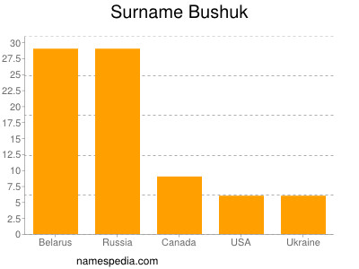 Familiennamen Bushuk