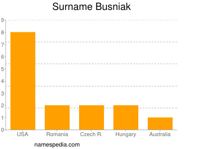 Familiennamen Busniak