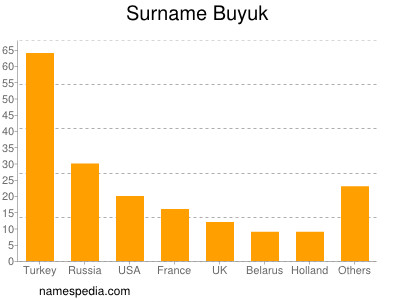 Familiennamen Buyuk