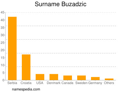 Familiennamen Buzadzic