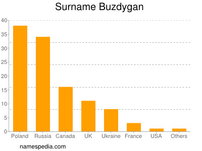 Familiennamen Buzdygan