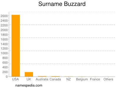 Familiennamen Buzzard