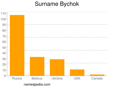 Surname Bychok