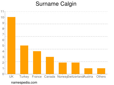 Surname Calgin