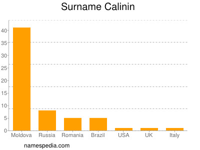 Familiennamen Calinin