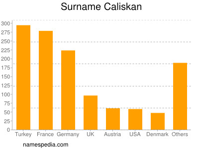 Familiennamen Caliskan