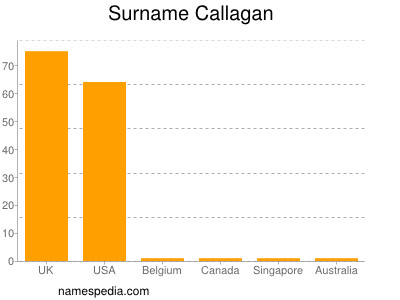 Familiennamen Callagan