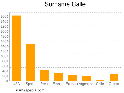 Familiennamen Calle