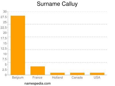 Familiennamen Calluy