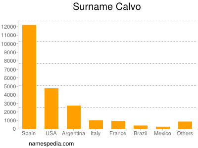 Familiennamen Calvo