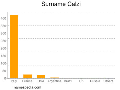 Surname Calzi