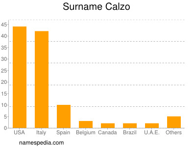 Familiennamen Calzo