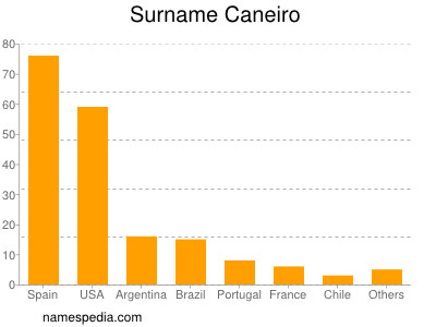 Surname Caneiro