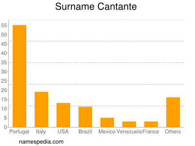 Surname Cantante