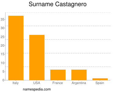 Familiennamen Castagnero