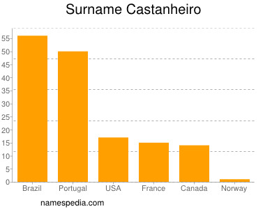 Familiennamen Castanheiro