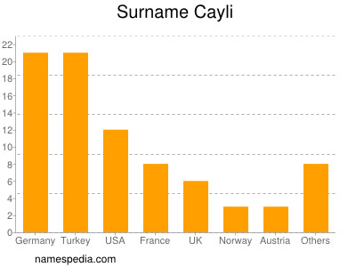 Familiennamen Cayli