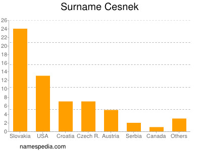 Familiennamen Cesnek